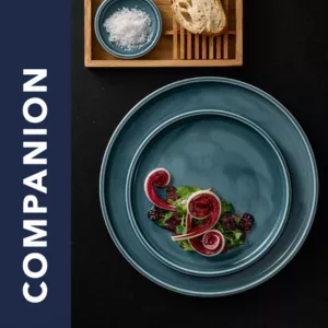 Companion