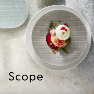 Scope