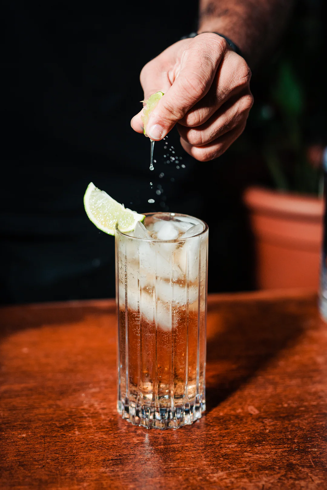 Vasos y copas de policarbonato